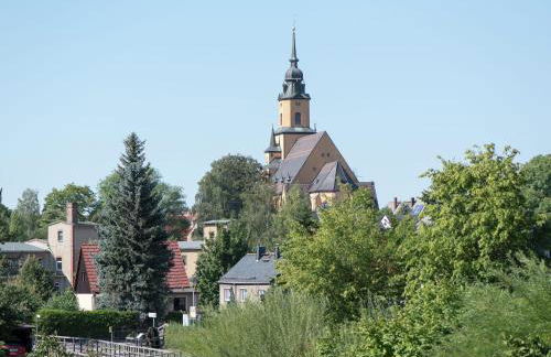 Comfortable Holiday Home in Saxony With Terrace - Foto 50