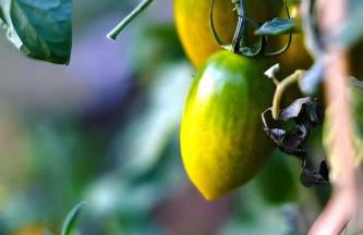 Luna D'Agerola - Foto 74