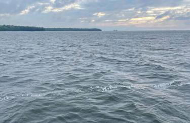 Modern Home on Mille Lacs Lake! Amazing yard and game-room! - Foto 48