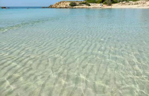 Sapore di Puglia - 140 mt dal mare - Foto 43