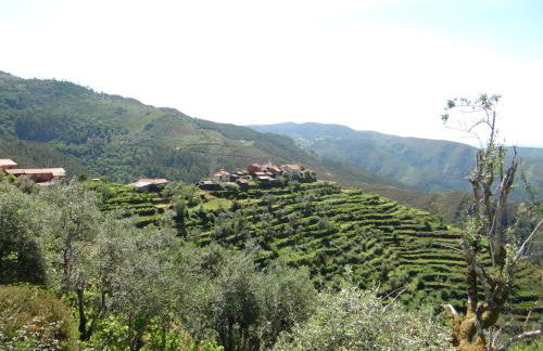 Cabanelas Country House - Casa do Afonso - Foto 41