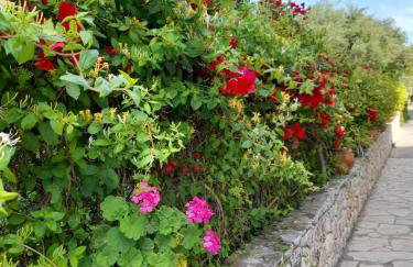 Aphrodite Apartments - Foto 26