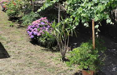 La casina di Karol - Foto 12