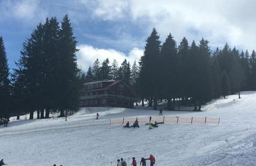 Bergkristall - Foto 2