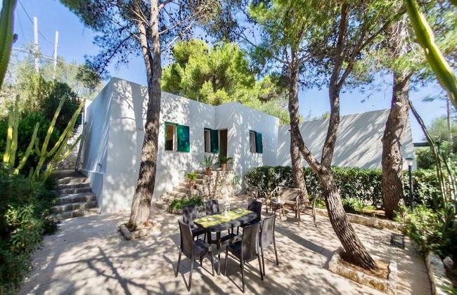 Residenza La Cicala - Foto 50