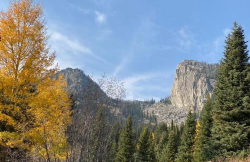 Jackson Hole Ski Condo Yellowstone Grand Teton - Foto 26