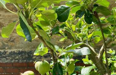 Rhubarb Retreat - Stylish House, Sleeps 5, 10 mins to Durham City & Parking & Garden - Foto 17