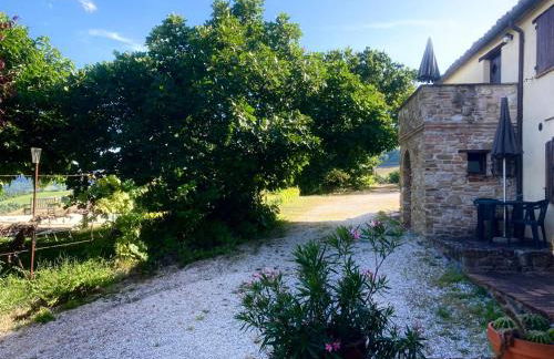 Agriturismo Colle del Lupo - Foto 15