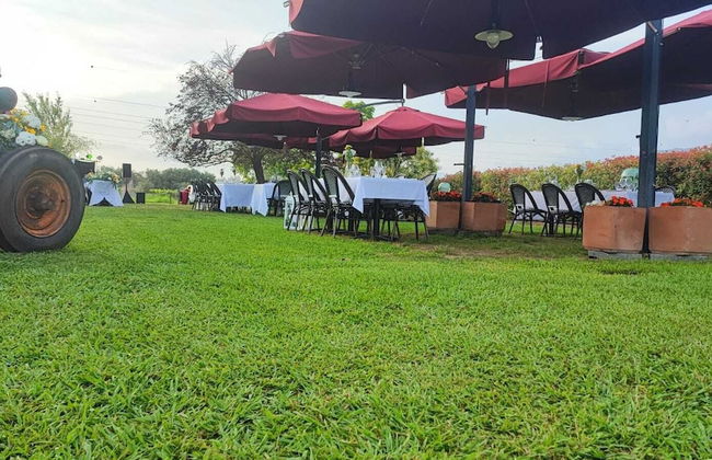 Calendiluna - Photo 15