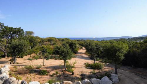 Casa Vitalba - Foto 5, Garden, Garden view