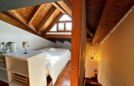 Cal Harrys - La Mejor Casa de vacaciones en Pyrenees con Vistas a la Montaña - Photo 18