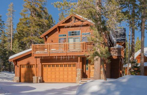 Gray Bear 514 - Foto 37