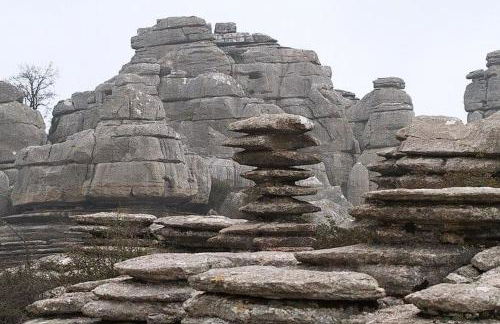 Cortijo el Alcornocal - Foto 35