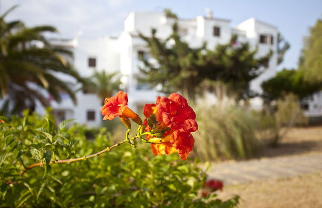 BJ Apartamentos Europa - Photo 24