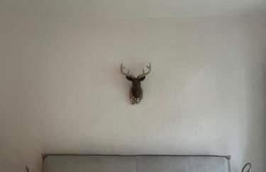 Historic and unique Farm House from 1604 - Foto 42