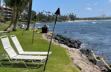 This place is different!! Award winning! Oceanfront, View View! - Foto 31