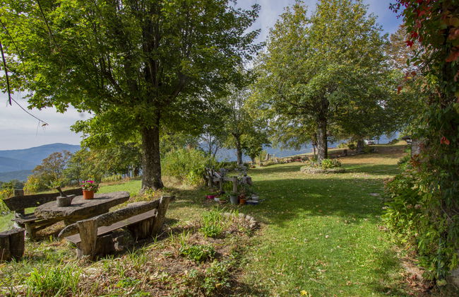 I 3 Faggi - Photo 62