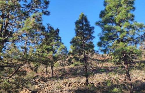 Carmen's house - Foto 16