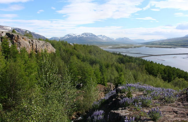 Viking Cottages and Apartments - Foto 76