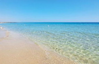 Villa Aeonium - Foto 58