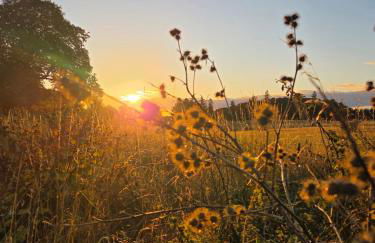 The Cairn at North Lodge, Rural Guest Suite - Foto 49