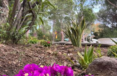 Beachhouse Casa del Mare Sardegna - Foto 20