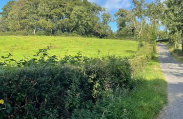 The Beehive at Pudding Cottage - Foto 38