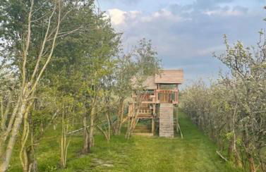 Orchard Retreat - Rural Cabin - Private Hot Tub! - Photo 14