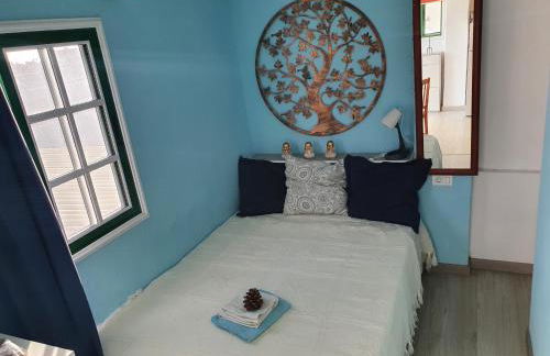 Terraza Alcalá - Photo 2