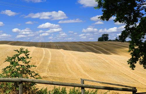 The Barn @ Laurel Farm - Foto 46