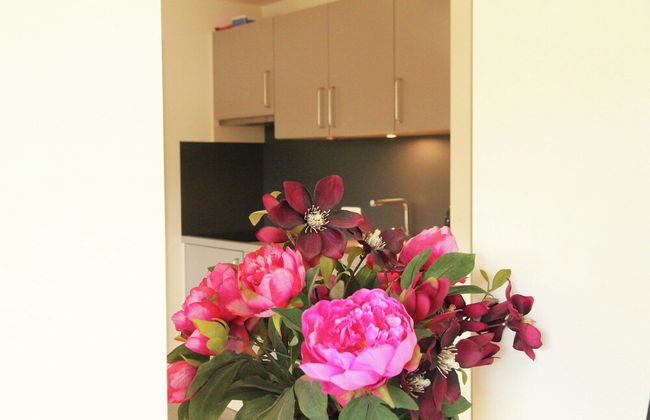 Cozy Apartment in Bergen on Dutch Coast - Foto 45