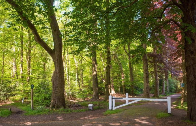 Holiday Home in Ferrieres With Garden - Photo 30