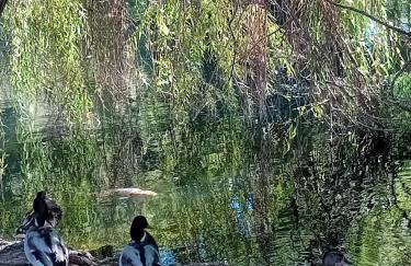 Appartement T2 avec piscine a 100 m de la plage - Foto 23
