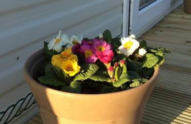 Coed Bach, Nr Rhosneigr, Anglesey (Pet Friendly) - Foto 19