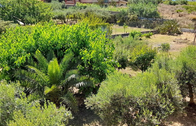 Margherita's Nest by the sea With Birds Song - Foto 19