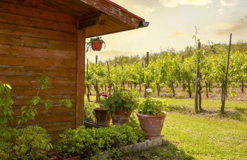 Tenuta il Poggetto - Foto 67