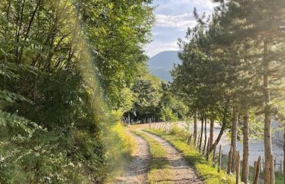 Bosco Stellato - Foto 31