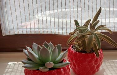 Casa ENTREPIEDRAS - Foto 42