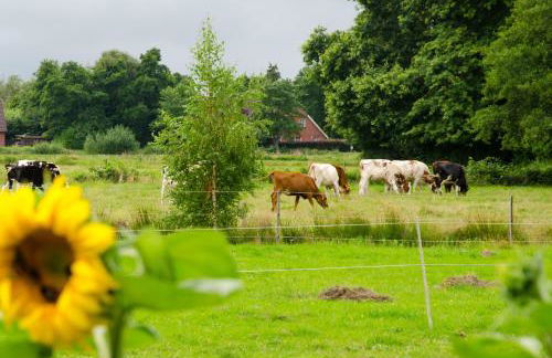 Ferienwohnung Nordbrock, 65317 - Foto 6