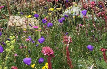 MaisonNel Gîte - Foto 34