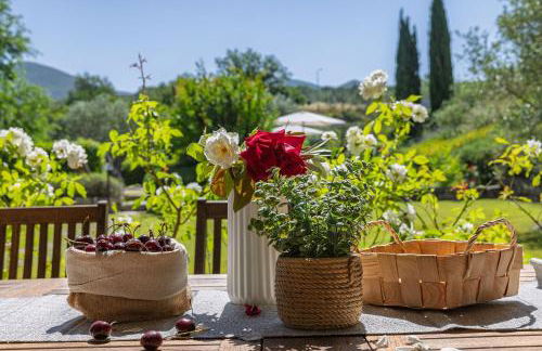 Scappo in Umbria, casale della quiete - Foto 10