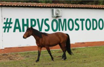 Casa de Campo Patio do Avô - Varanda do Pátio - Foto 80
