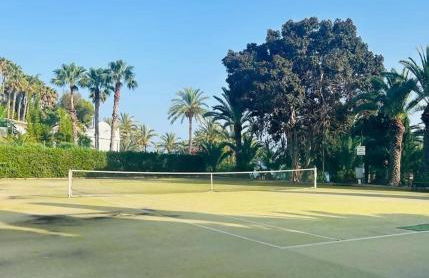 Sol Mediterráneo - Palm Beach 8 - Photo 17