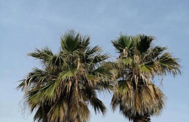 Rafina's BLUE HEART! Steps from the beach,2 min walk - Walk to Rafina main square 10 min, and Port about 15 min ! Ideal vacation base! - Foto 23