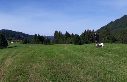 Ferienwohnung Gipfelstürmer - Foto 29