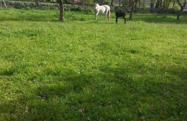 El Cajigal De Quintana - Foto 33