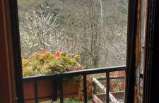 Agri Grotta dell'Eremita - Photo 27