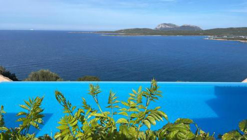 La tartaruga - Photo 1