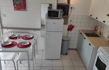 Les châlets de Renoir 1 - Foto 7