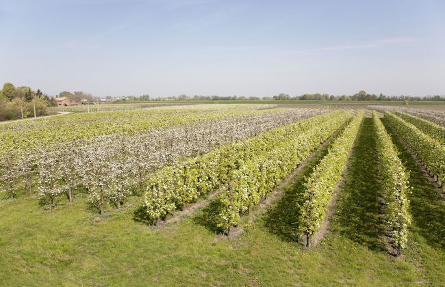 Agriturismo Dosso al Porto - Foto 38